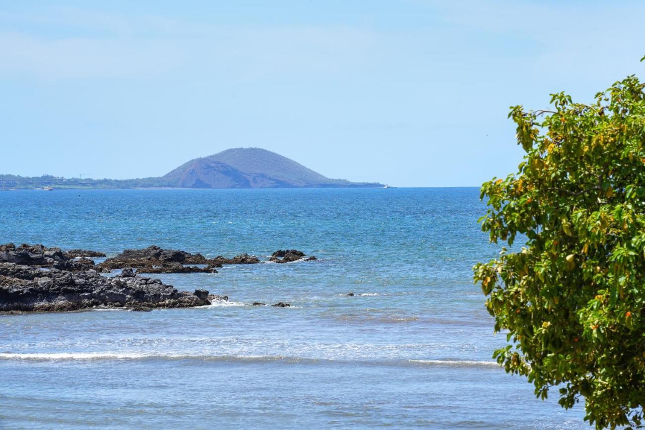 Kihei Park Shores 13 Extérieur photo